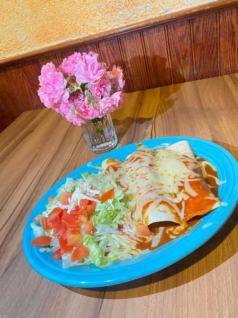 two enchiladas in a plate